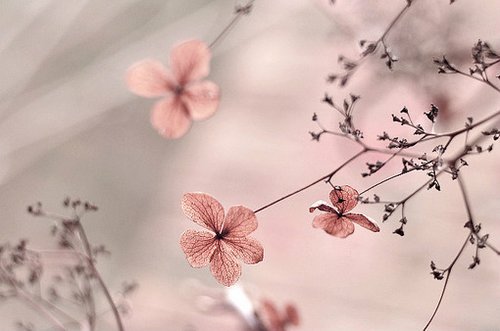 qq签名经典句子说说大全(精选21句)