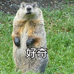如何将PDF文件转换为Word？四种方法分享给你