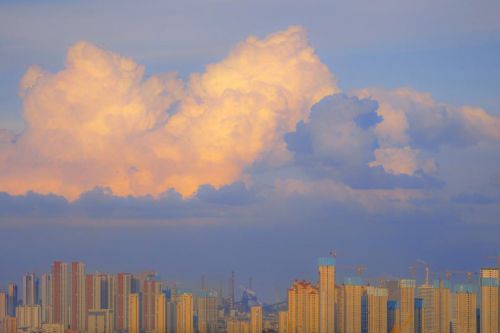 美的让人心疼的句子(精选18句)