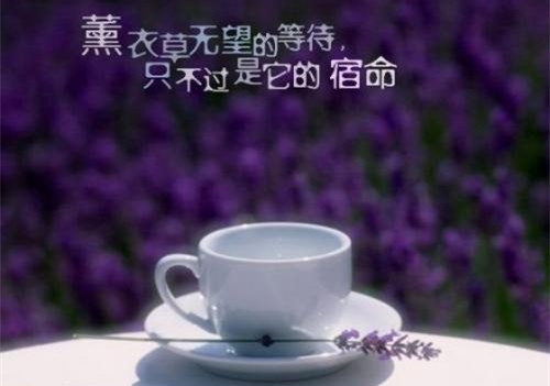 抖音可爱到爆炸的短句子(精选37句)