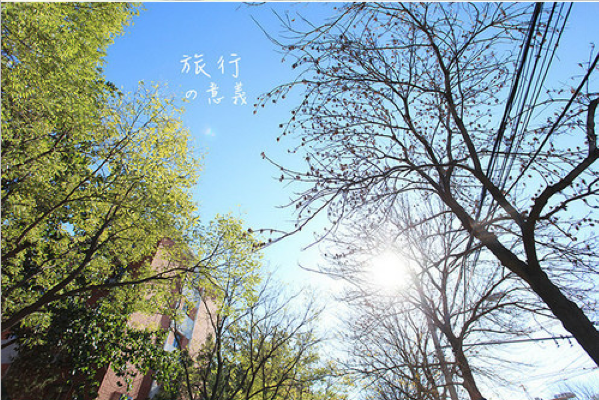 离别伤感qq说说大全 希望我的离开,让你懂得我并(精选15句)