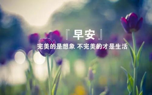 早上好高情商句子 早安暖心话短句(精选9句)