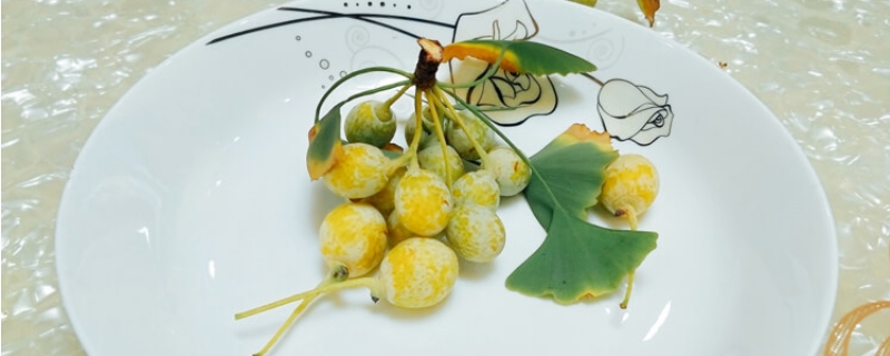 银杏果肉可以吃吗