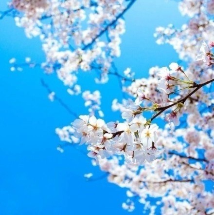 爱情里，需要勇气，需要坚持，更需要态度(精选24句)