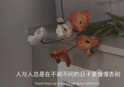 很明显的表达自己心情不好的文案 直白的表达自(精选24句)