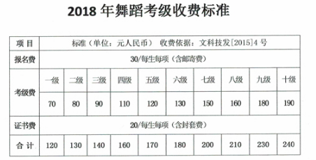 儿童舞蹈考级的费用