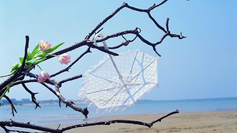 迎接十月的早安语 十月早安文案发朋友圈(精选15句)