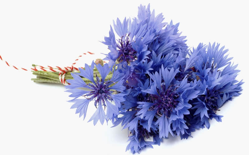 2021儿童节搞笑说说 六一节幽默句子