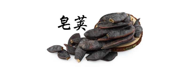 皂角洗头能治白发吗 皂角洗头能治白发吗