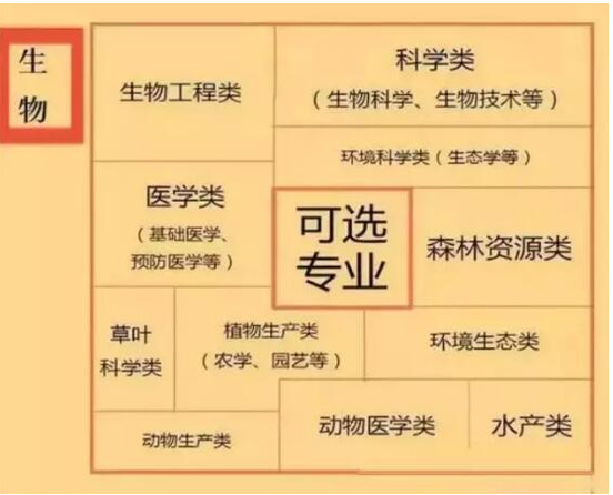 新高考6选3选对应的专业