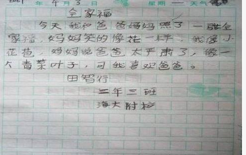 小学生能把老师气吐血的爆笑作文