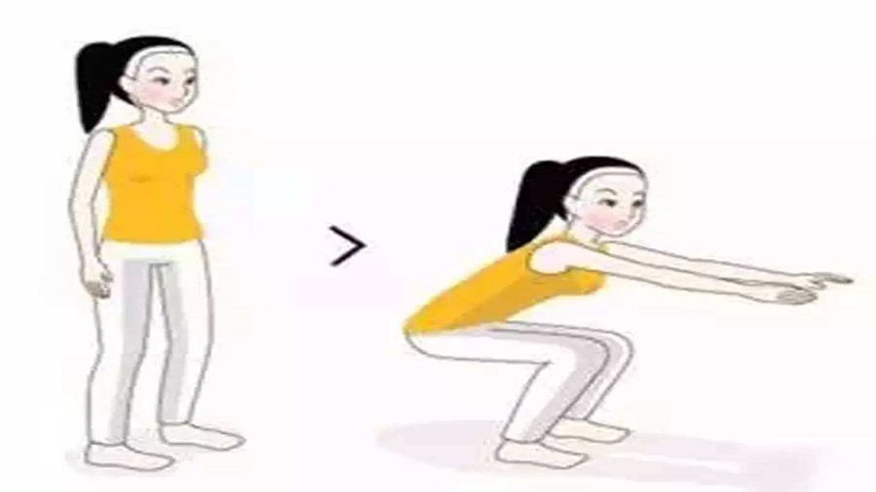 无负重深蹲标准动作