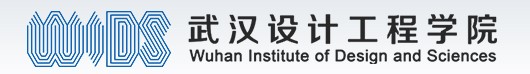 2019年武汉设计工程学院校考成绩查询入口