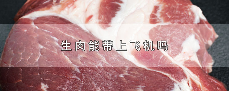 生肉能带上飞机吗