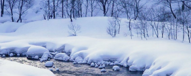 雪花飘飘北风萧萧下一句是什么 雪花飘飘北风萧萧下一句是什么