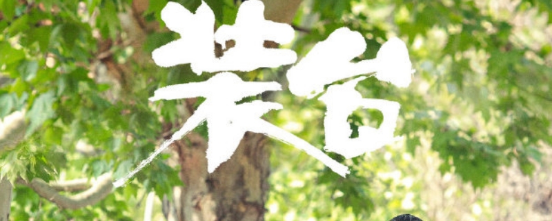 装台结局 装台结局