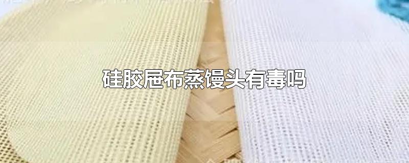 硅胶屉布蒸馒头有毒吗 硅胶屉布蒸馒头有毒吗