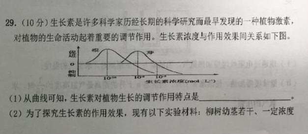 理综7