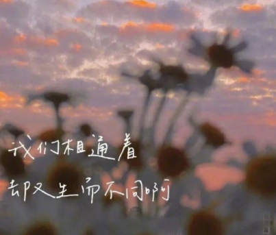 也很有教养的很优雅的文案 温柔又很舒心的说说(精选24句)