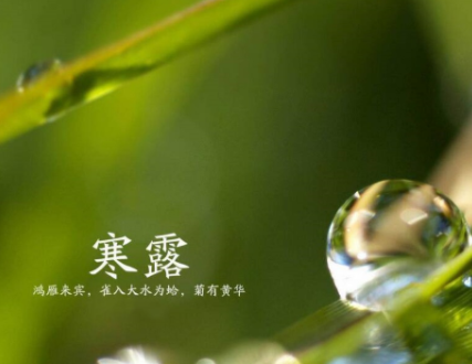 带好运的微信名2022最新 好听又幸运的网名合集