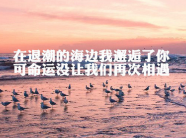 最新版微信唯美说说大全女生伤感 你码了一大堆(精选12句)