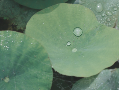抖音上最火的下雨说说让人点赞 雨天幽默又很正(精选25句)