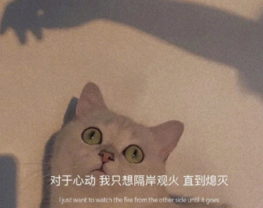 分手后挽回前任的煽情句子 让对方很感动的符合(精选21句)