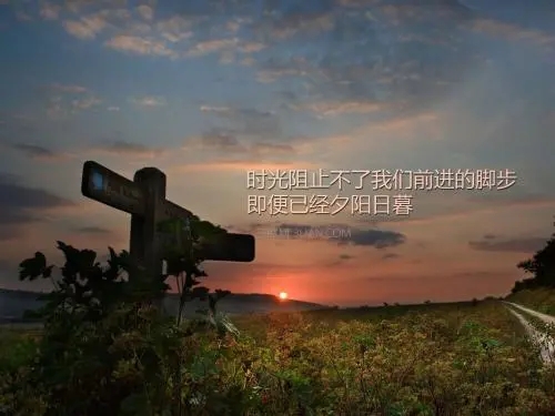人来人往都向着温柔 哪些惊艳岁月文案(精选27句)