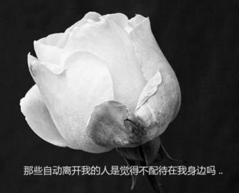 最新伤感让人想哭的说说 我们彼此断了联系(精选20句)