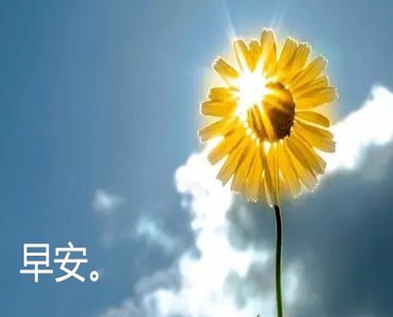 夏至唯美的早安说说短句 夏至早安舒心的说说(精选24句)