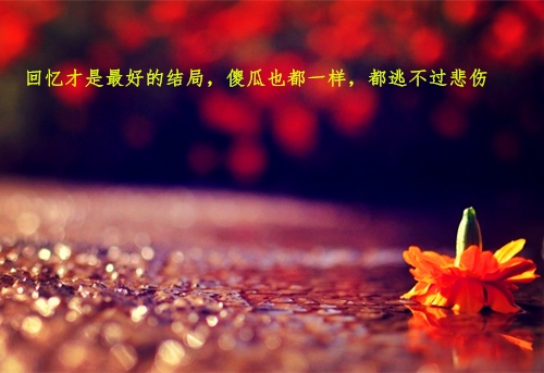 描写夜晚一个人孤独的句子(精选27句)