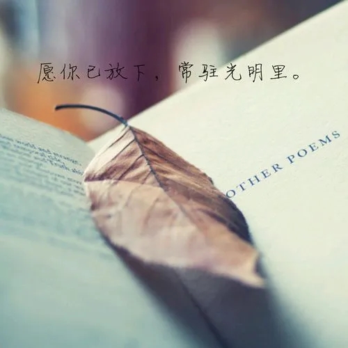 励志的情感的话(精选20句)