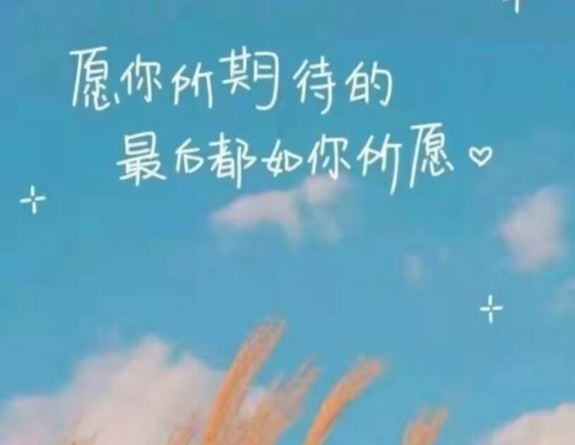 行动的励志句子(精选18句)