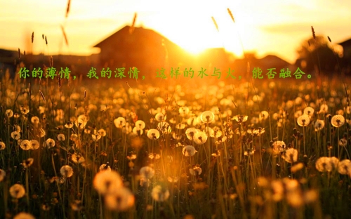 和青春有关的网名大全(精选27句)