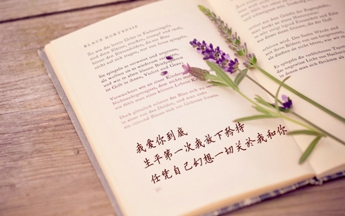 好听的伤感名字推荐(精选22句)