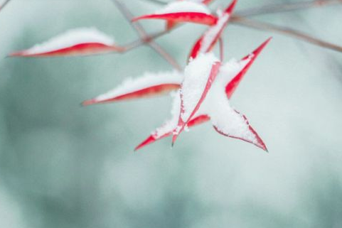 平安吉利微信名经典有内涵的 能带来好运的微信(精选55句)