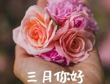 2022三月请我好一点心情短句 二月再见三月你好伤