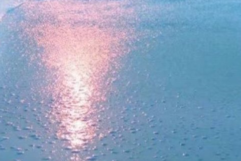 简单耐听的微信经典网名大全 大气有深度的微信(精选55句)