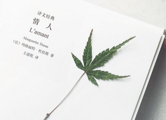 寓意比较好的微信网名文艺风 指尖温度为你而暖(精选48句)