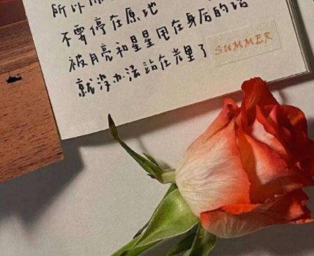 繁体字很冷漠的霸气昵称 简短又很拽的网名合集(精选34句)