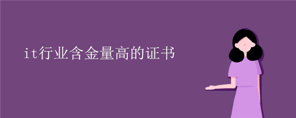 it行业含金量高的证书