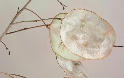 有个性的伤感说说大全精选 人活一世笑就要大声(精选15句)