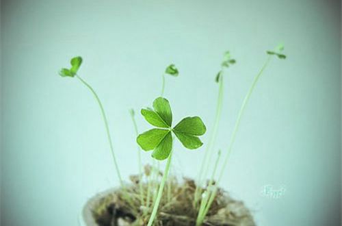 拽拽的带符号的男生网名(精选17句)