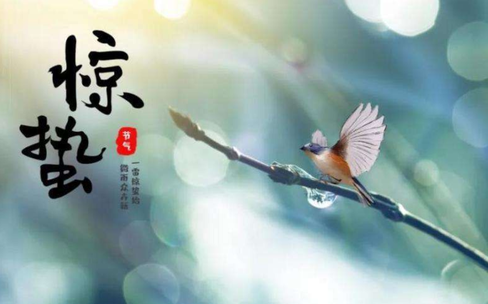 2022惊蛰节气微信简短祝福语 二十四节气惊蛰的心
