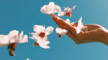 伤感的句子说说心灵鸡汤 放弃是一种解脱(精选21句)