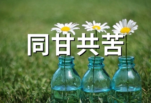 有些伤感的女生网名(精选34句)
