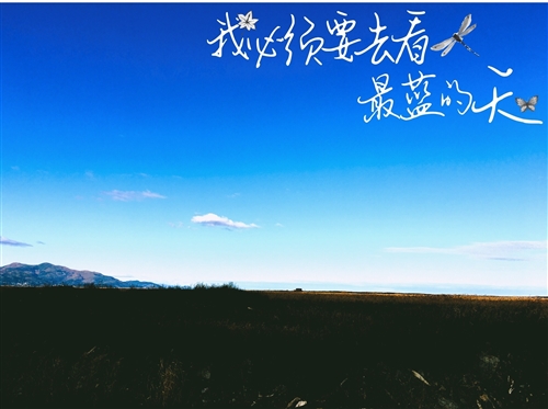 天气晴朗阳光很好发朋友圈的句子(精选21句)