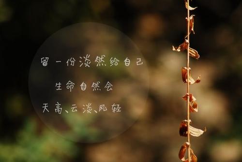 字好听又吸引人网名大全(精选54句)