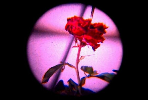 快手网名独一无二的那种霸气女 做自己的女王(精选40句)