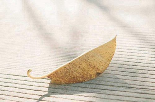 真心爱一个人经典语录 想你短句暖心话(精选60句)